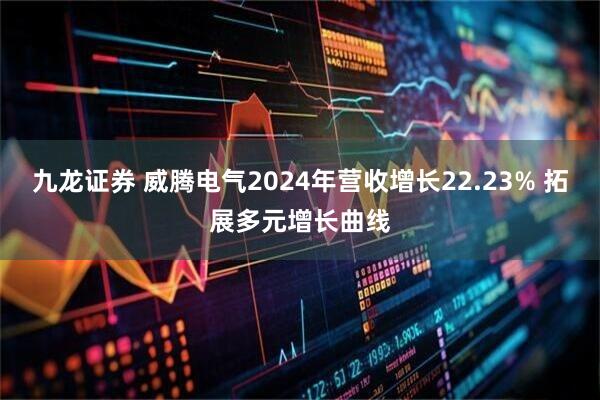 九龙证券 威腾电气2024年营收增长22.23% 拓展多元增长曲线