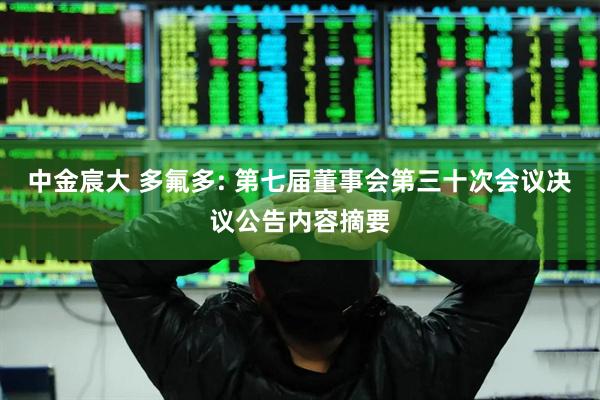 中金宸大 多氟多: 第七届董事会第三十次会议决议公告内容摘要