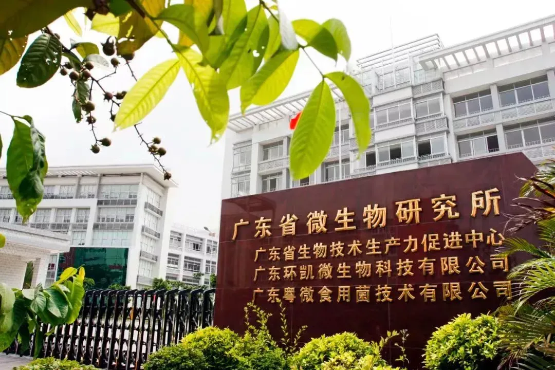 点点盈 全国首部！这项国家标准由大旺企业核心起草